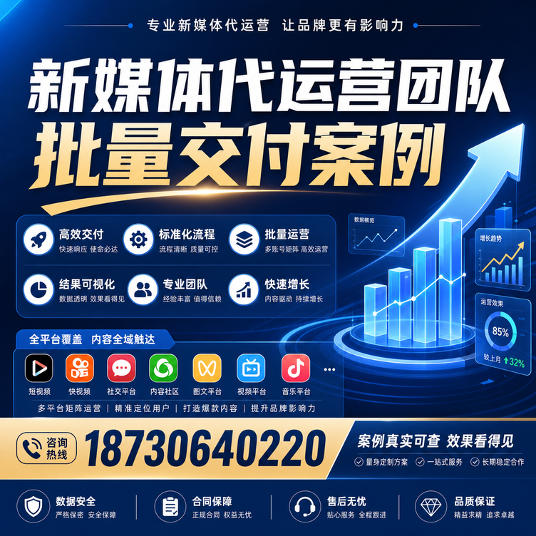云浮代运营公司多客户账号批量高效交付案例
